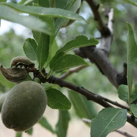 Sumindulau Alojamento de Acomodação e Pequeno-almoço Torre delle Stelle