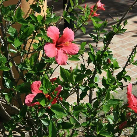 Sumindulau Alojamento de Acomodação e Pequeno-almoço 3*