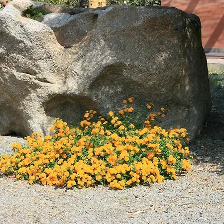 Alojamento de Acomodação e Pequeno-almoço Sumindulau