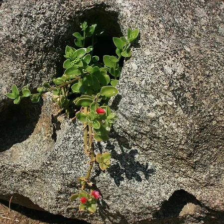 Sumindulau Bed & Breakfast